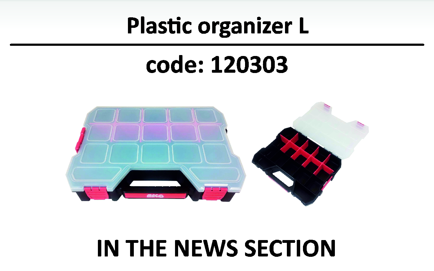 Plastic organizer L