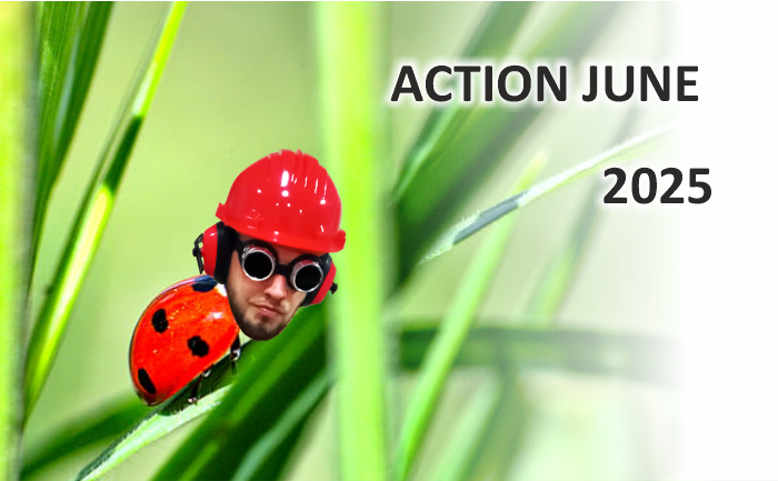 Action Products 06/2025